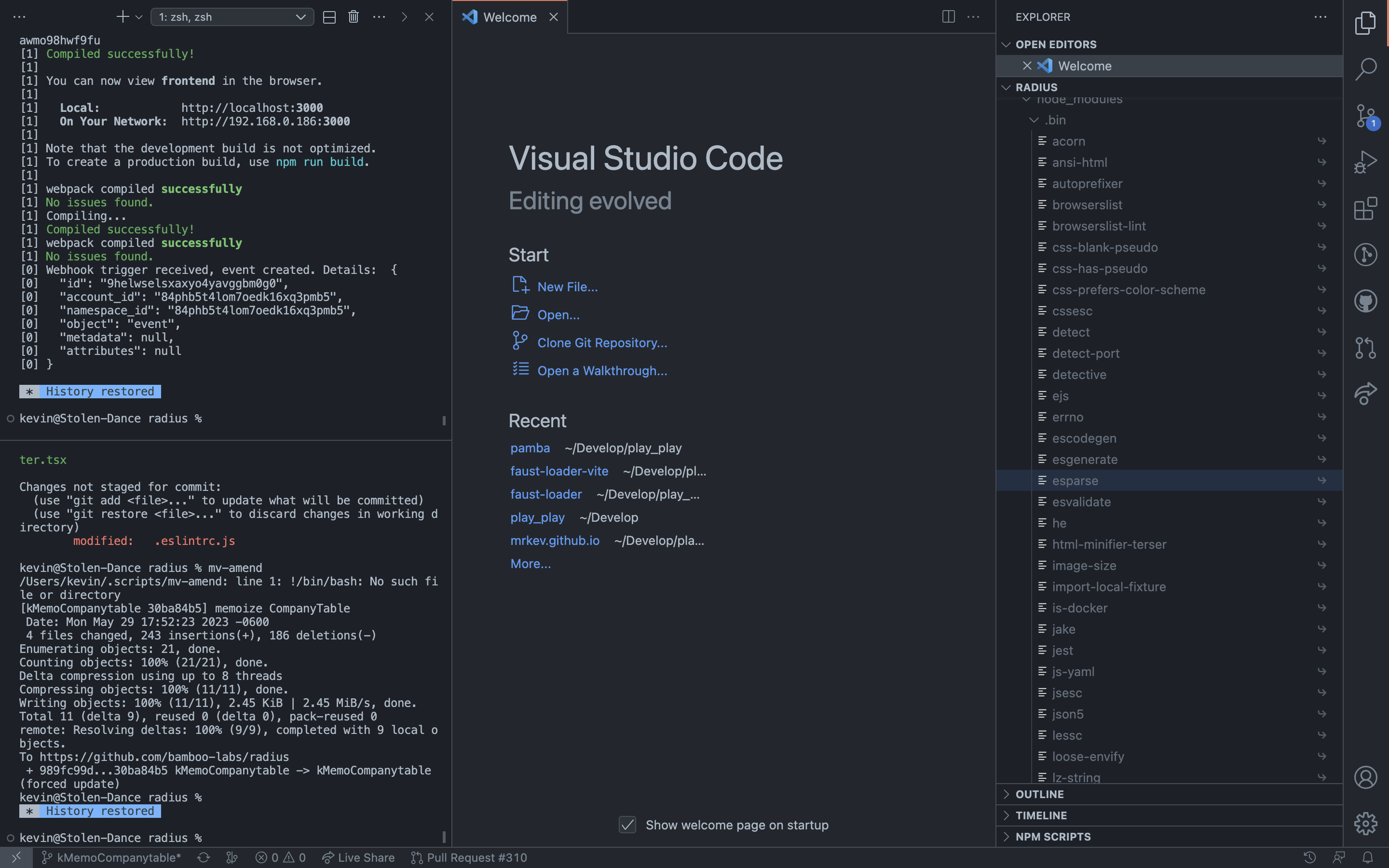 a picture of my vscode layout